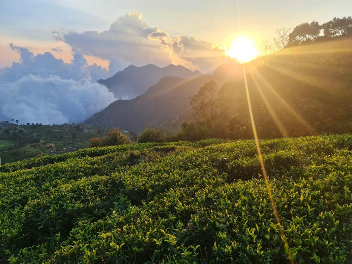 Hill Safari - Tea Estate Villa โอฮิยา ภายนอก รูปภาพ