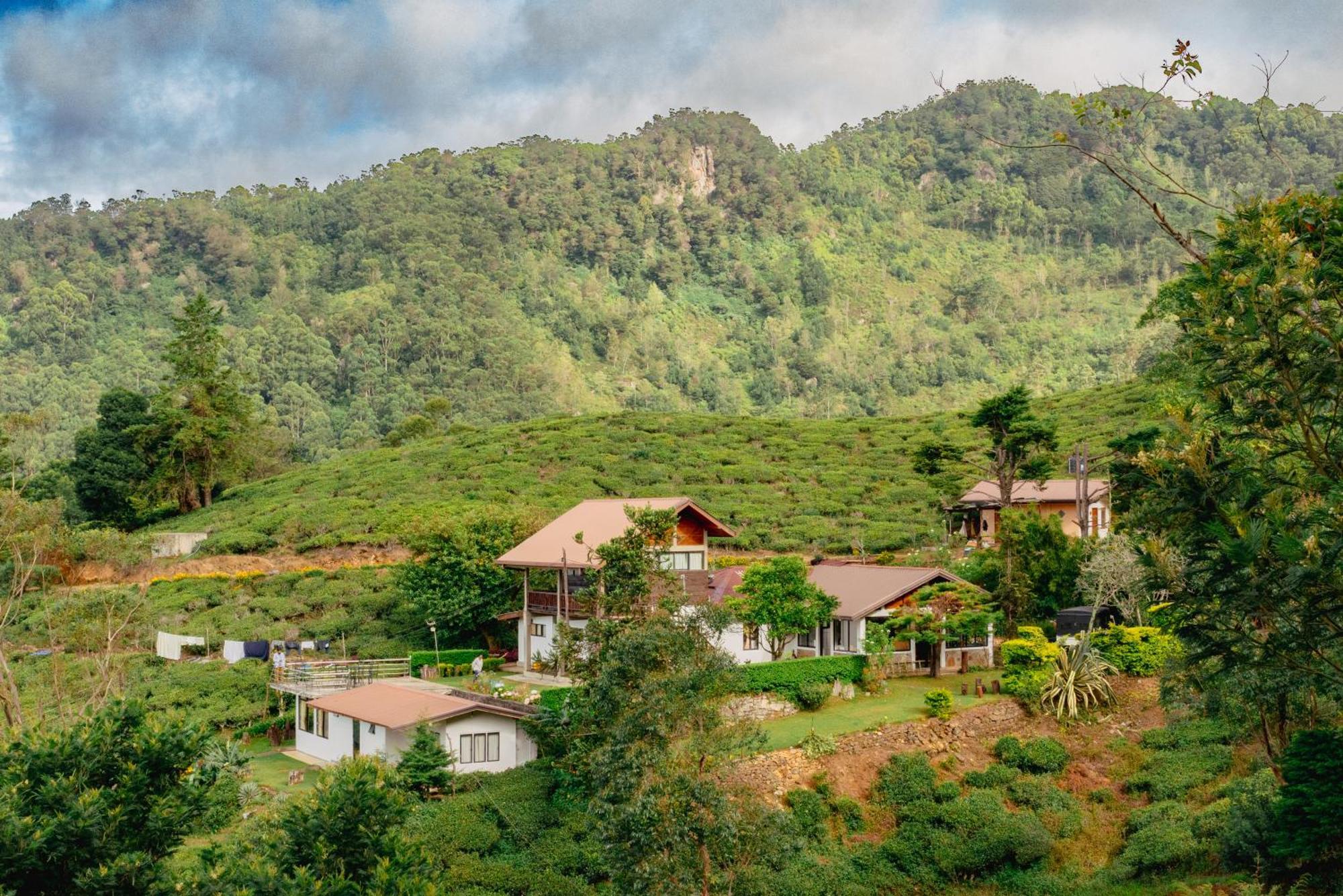 Hill Safari - Tea Estate Villa โอฮิยา ภายนอก รูปภาพ