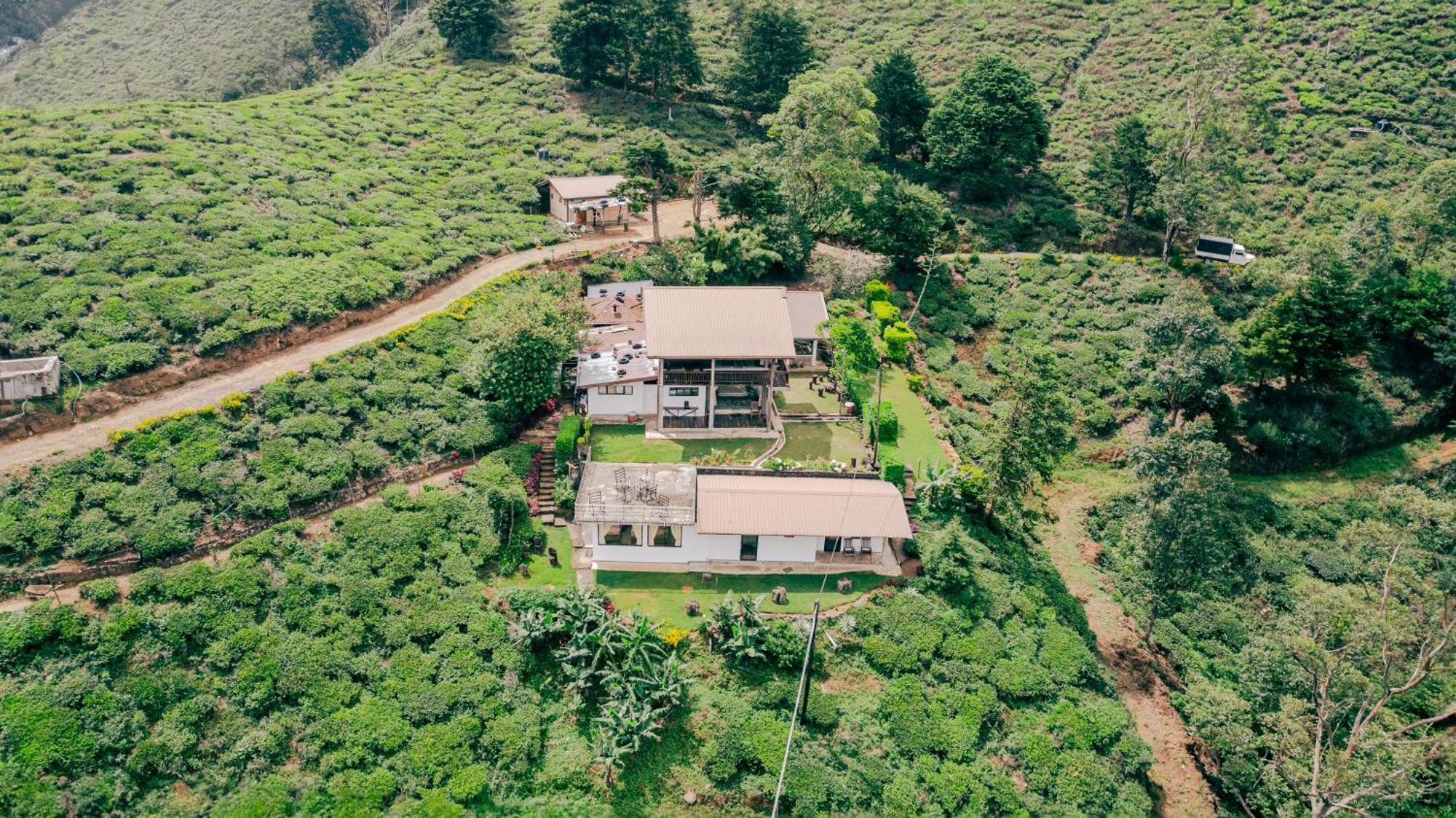 Hill Safari - Tea Estate Villa โอฮิยา ภายนอก รูปภาพ