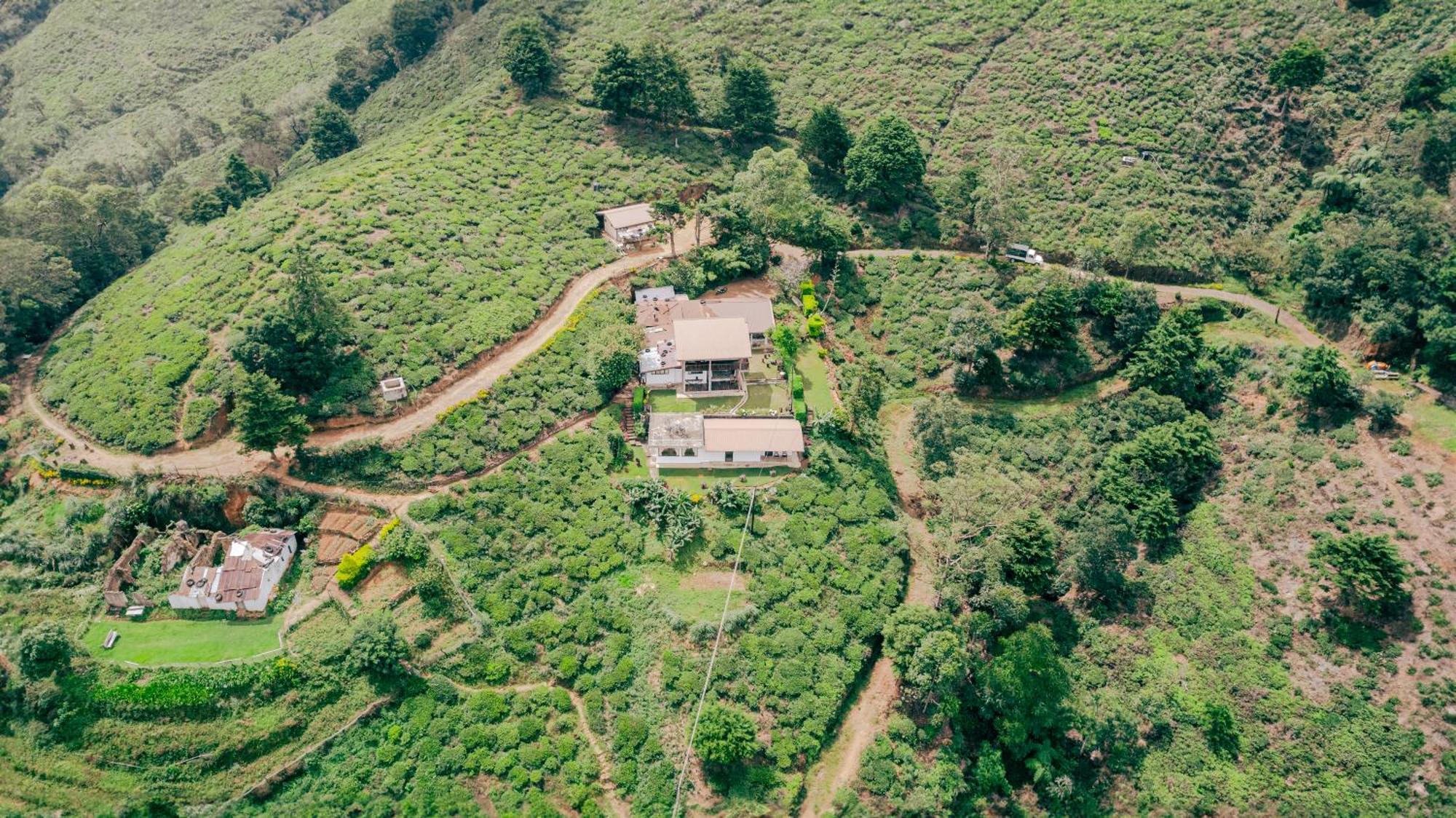 Hill Safari - Tea Estate Villa โอฮิยา ภายนอก รูปภาพ