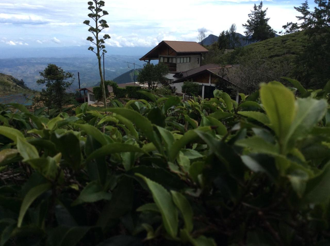 Hill Safari - Tea Estate Villa โอฮิยา ภายนอก รูปภาพ